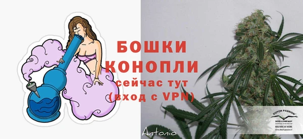 крисы Коряжма