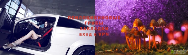 крисы Коряжма