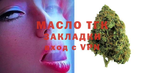 крисы Коряжма