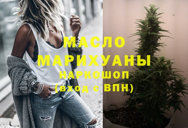 крисы Коряжма