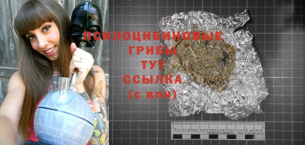 крисы Коряжма