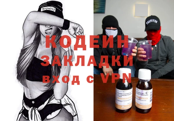 крисы Коряжма