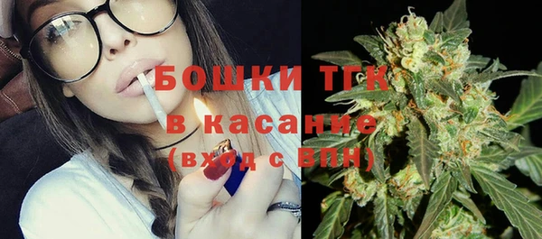 крисы Коряжма