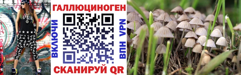 Галлюциногенные грибы прущие грибы  Купить закладки  Лахденпохья 